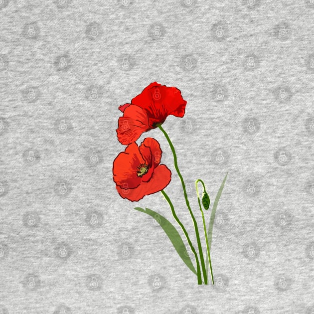 Red poppy flower by Slownessi